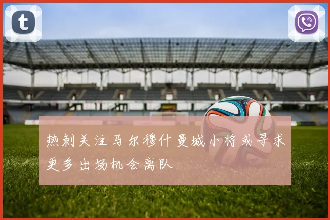 热刺关注马尔穆什曼城小将或寻求更多出场机会离队