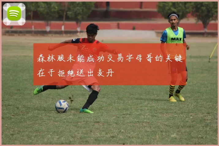 森林狼未能成功交易字母哥的关键在于拒绝送出麦丹