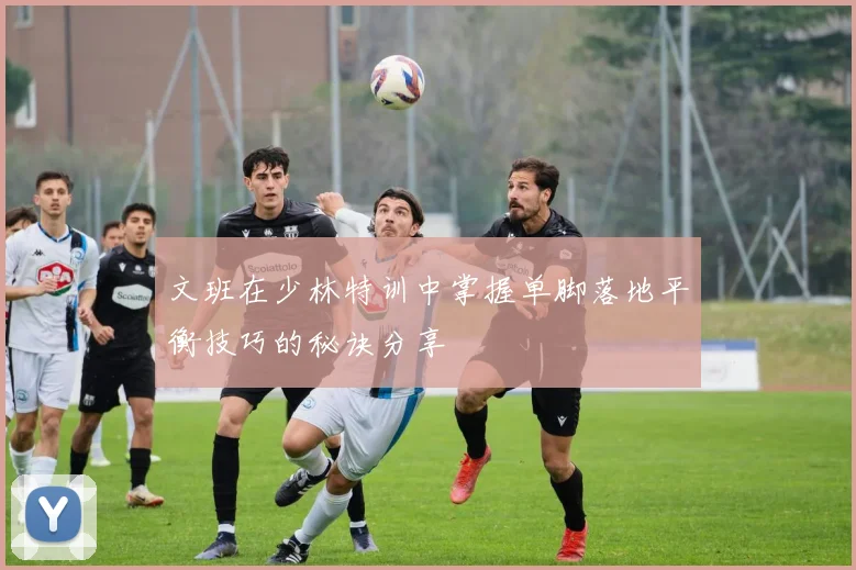 文班在少林特训中掌握单脚落地平衡技巧的秘诀分享